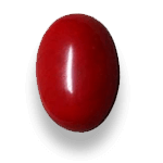 red coral